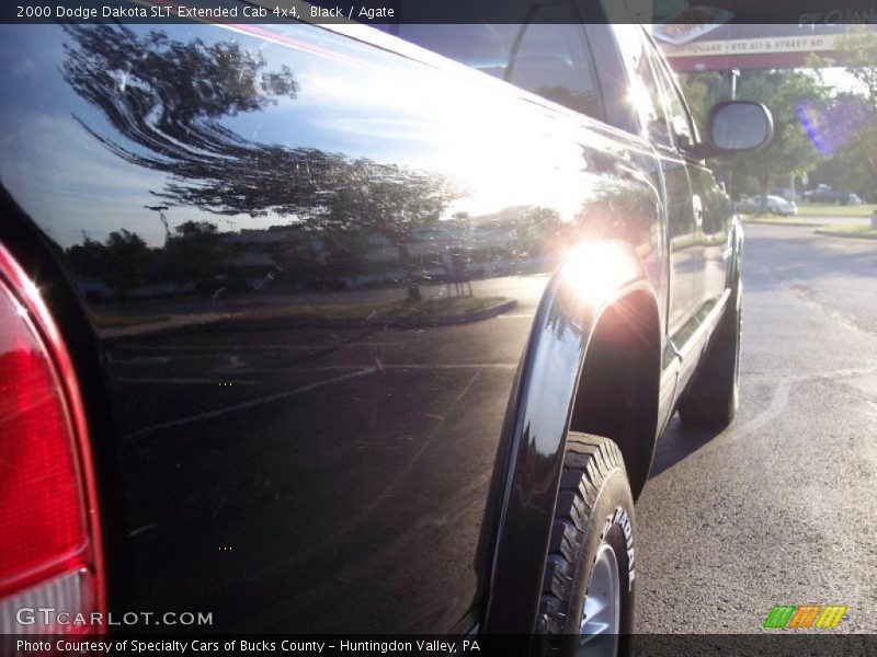 Black / Agate 2000 Dodge Dakota SLT Extended Cab 4x4