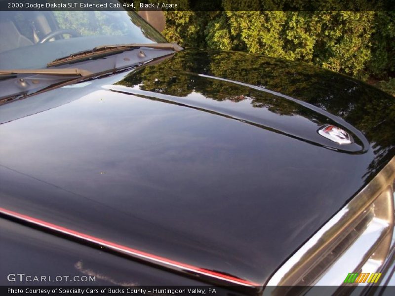 Black / Agate 2000 Dodge Dakota SLT Extended Cab 4x4