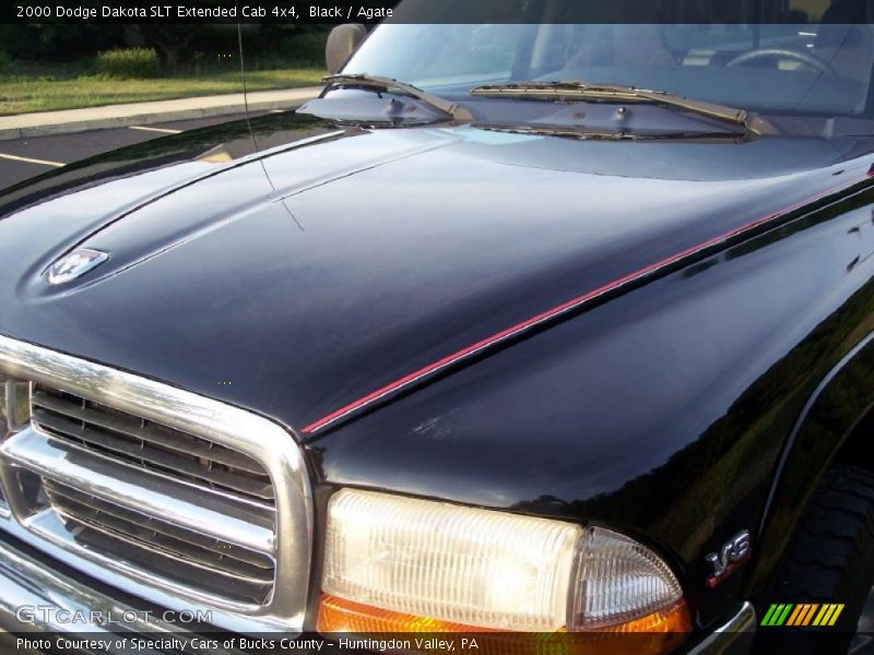 Black / Agate 2000 Dodge Dakota SLT Extended Cab 4x4