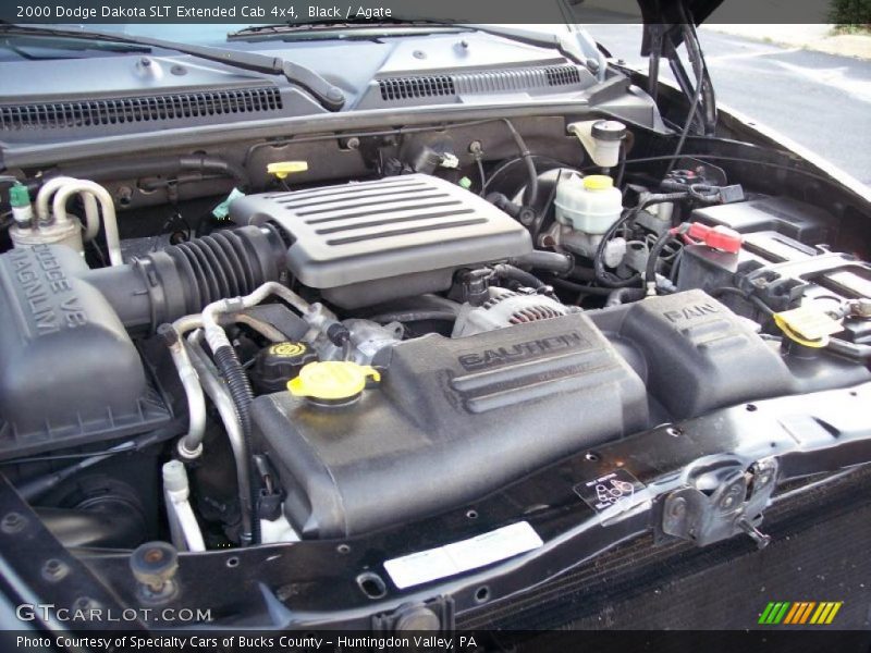 Black / Agate 2000 Dodge Dakota SLT Extended Cab 4x4