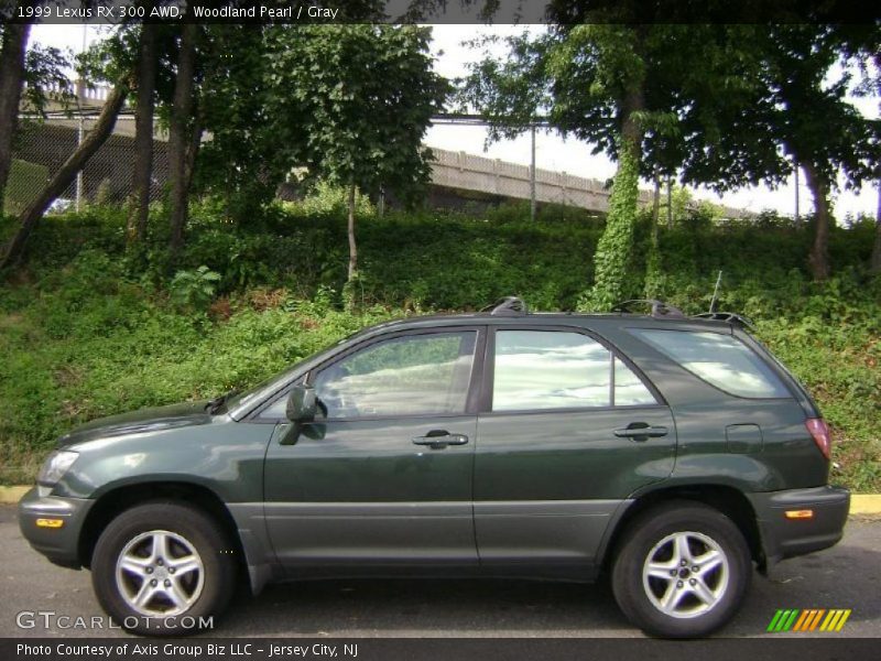 Woodland Pearl / Gray 1999 Lexus RX 300 AWD