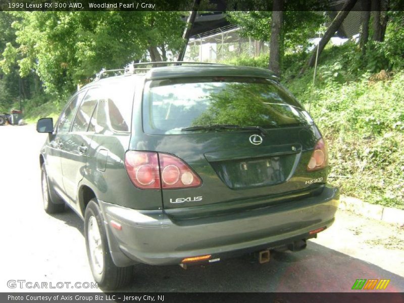 Woodland Pearl / Gray 1999 Lexus RX 300 AWD