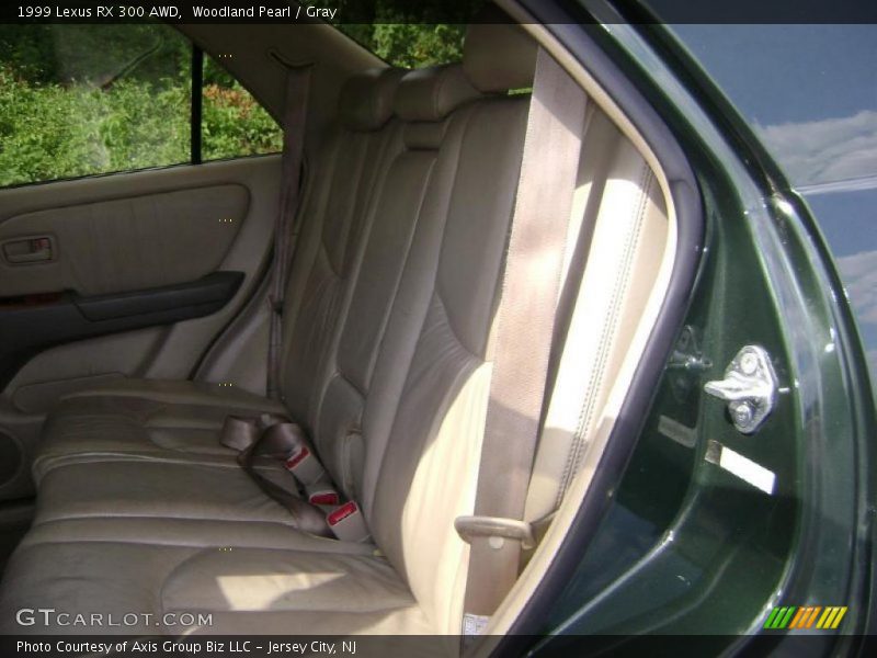 Woodland Pearl / Gray 1999 Lexus RX 300 AWD