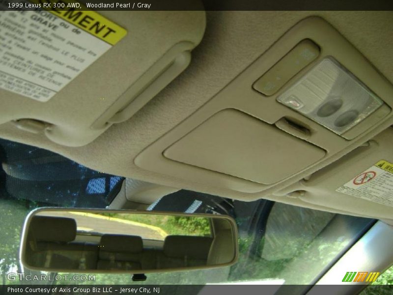 Woodland Pearl / Gray 1999 Lexus RX 300 AWD