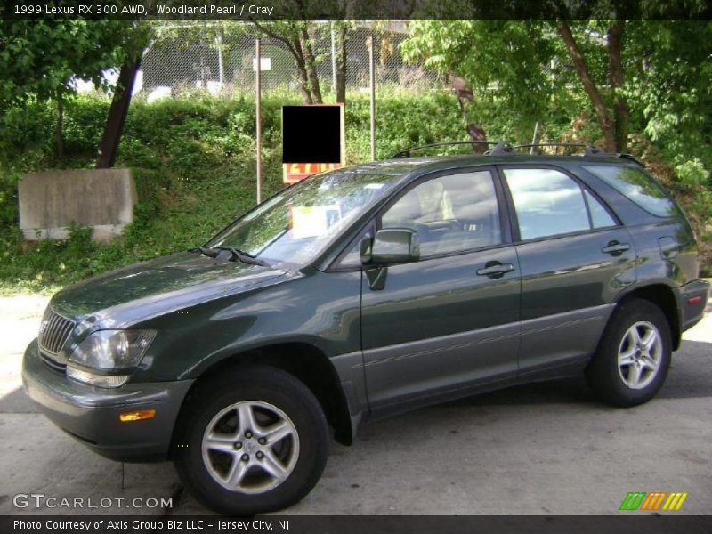 Woodland Pearl / Gray 1999 Lexus RX 300 AWD
