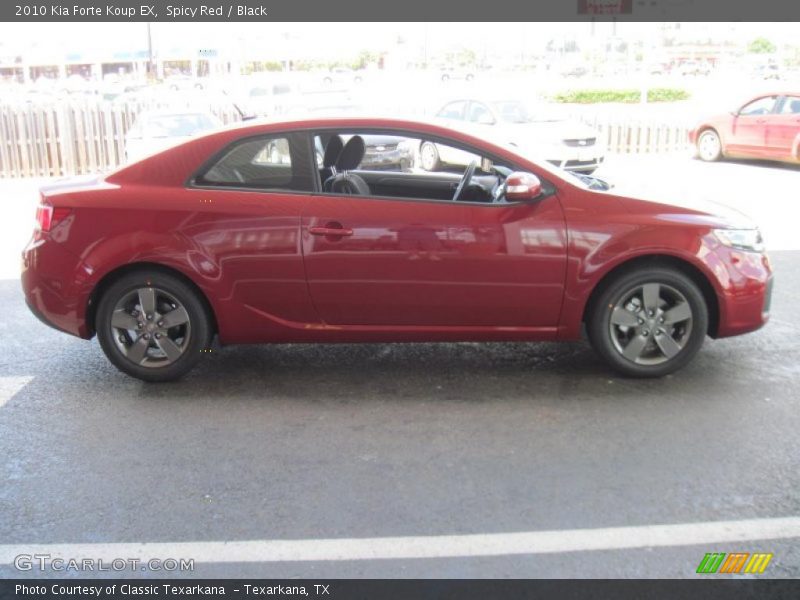 Spicy Red / Black 2010 Kia Forte Koup EX
