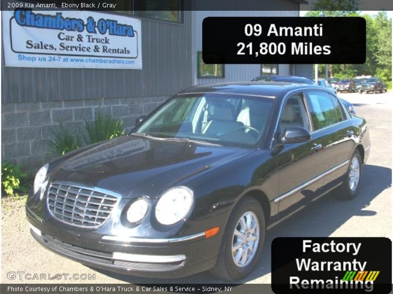Ebony Black / Gray 2009 Kia Amanti