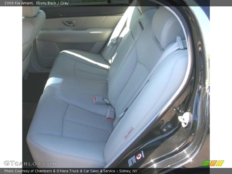 Ebony Black / Gray 2009 Kia Amanti