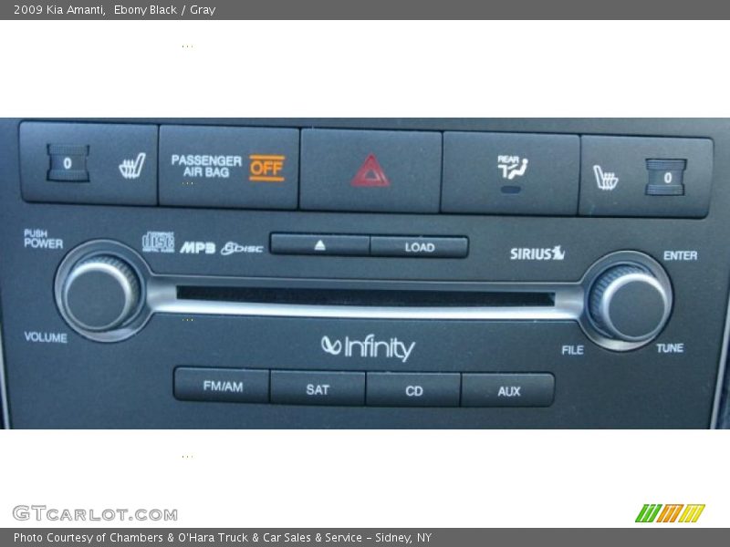 Ebony Black / Gray 2009 Kia Amanti