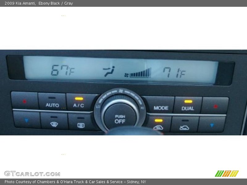 Ebony Black / Gray 2009 Kia Amanti