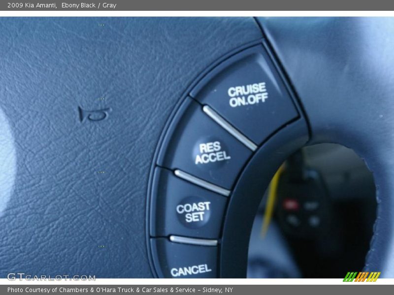 Ebony Black / Gray 2009 Kia Amanti