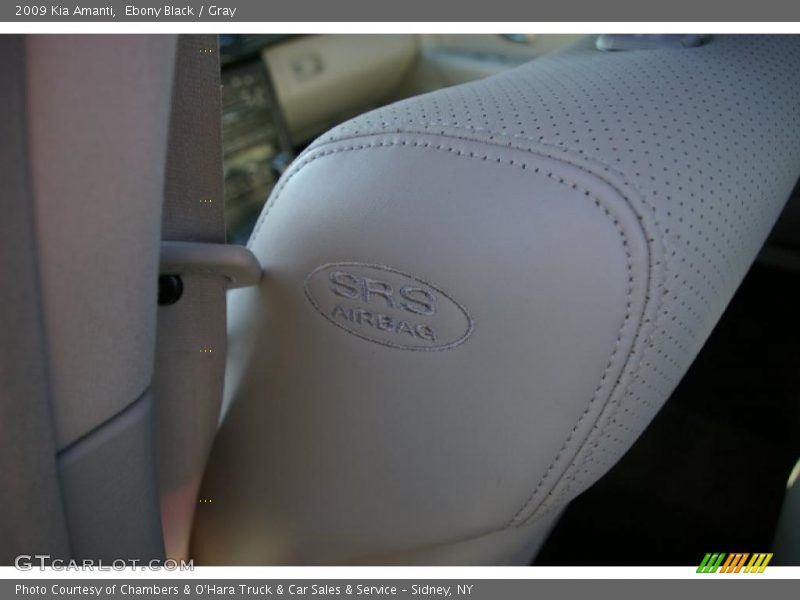 Ebony Black / Gray 2009 Kia Amanti