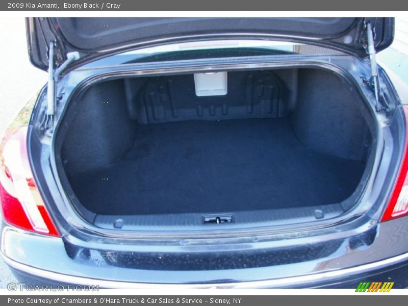 Ebony Black / Gray 2009 Kia Amanti