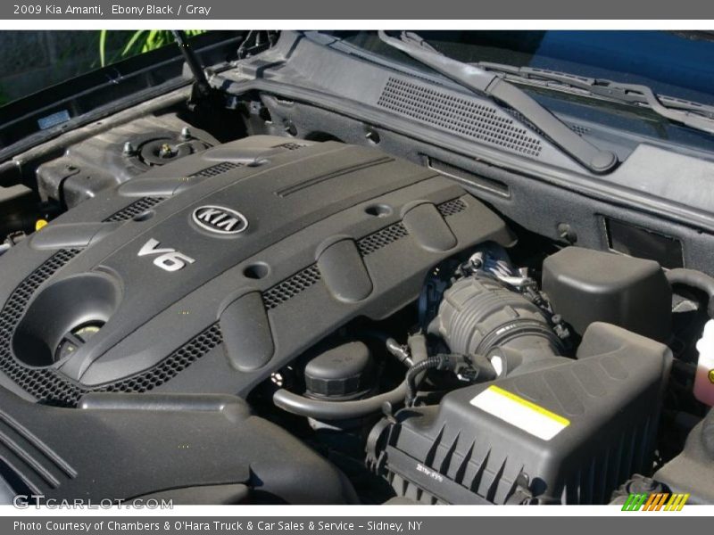 Ebony Black / Gray 2009 Kia Amanti