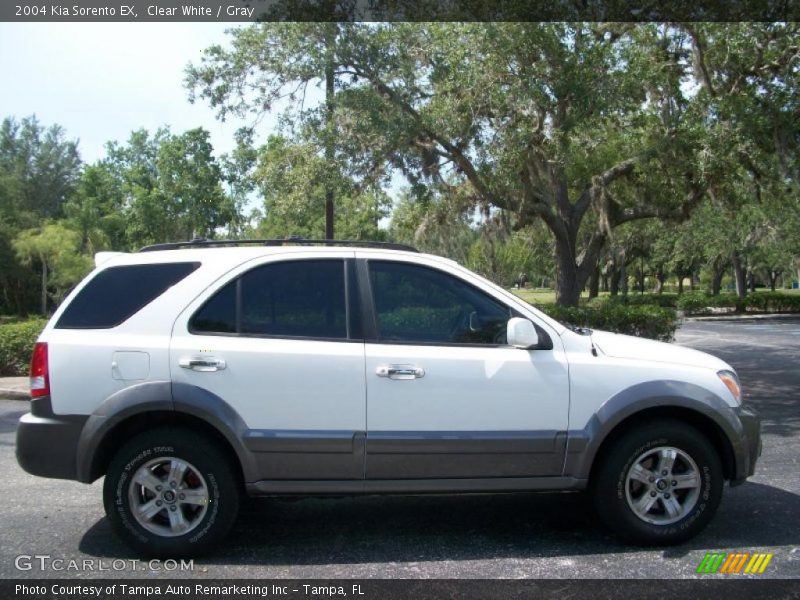 Clear White / Gray 2004 Kia Sorento EX