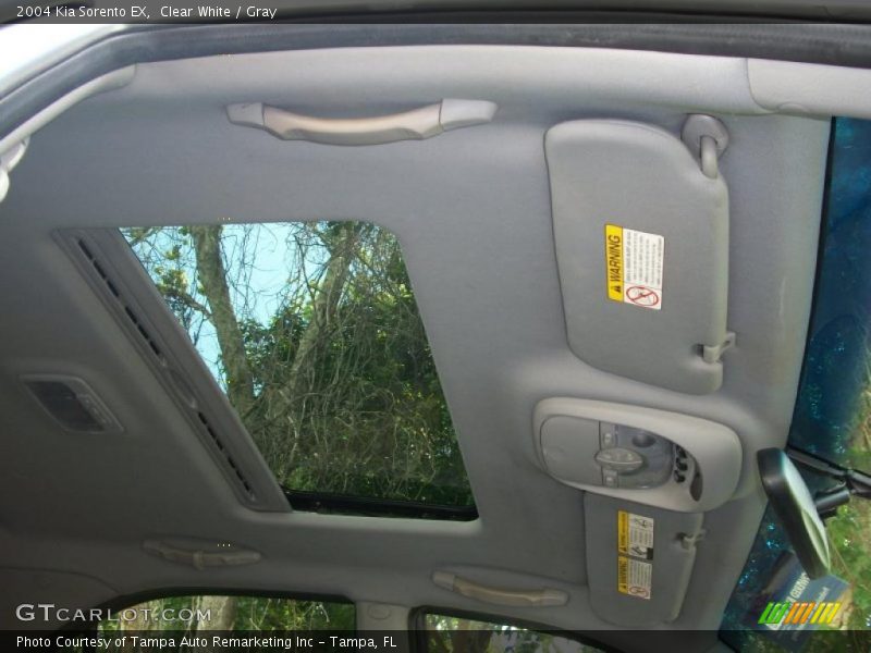 Clear White / Gray 2004 Kia Sorento EX