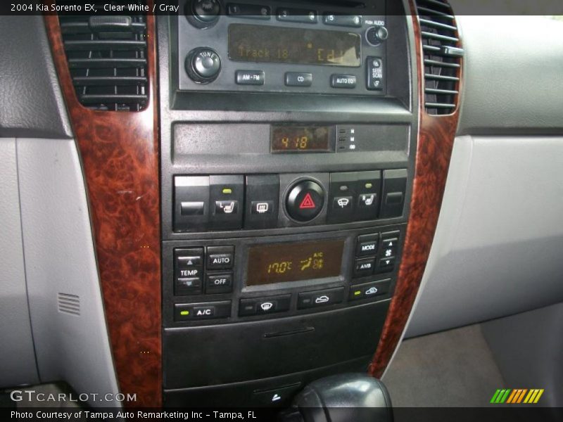 Clear White / Gray 2004 Kia Sorento EX