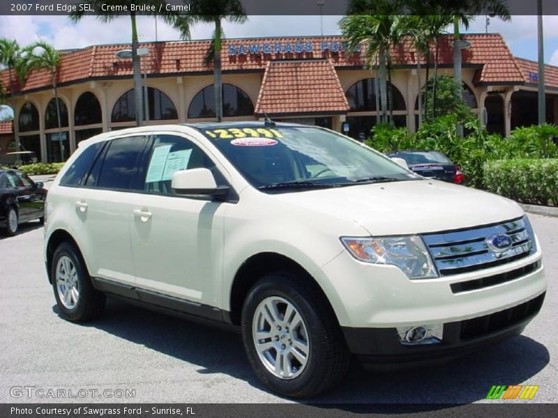 Creme Brulee / Camel 2007 Ford Edge SEL