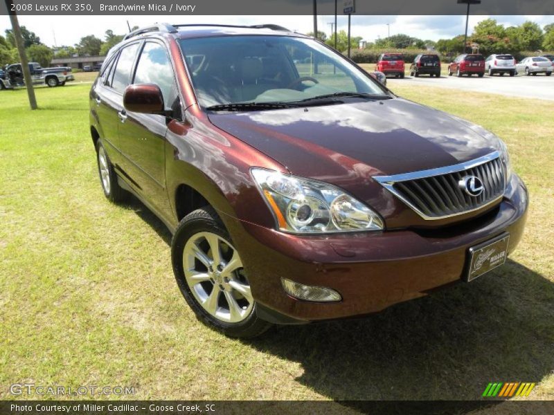 Brandywine Mica / Ivory 2008 Lexus RX 350