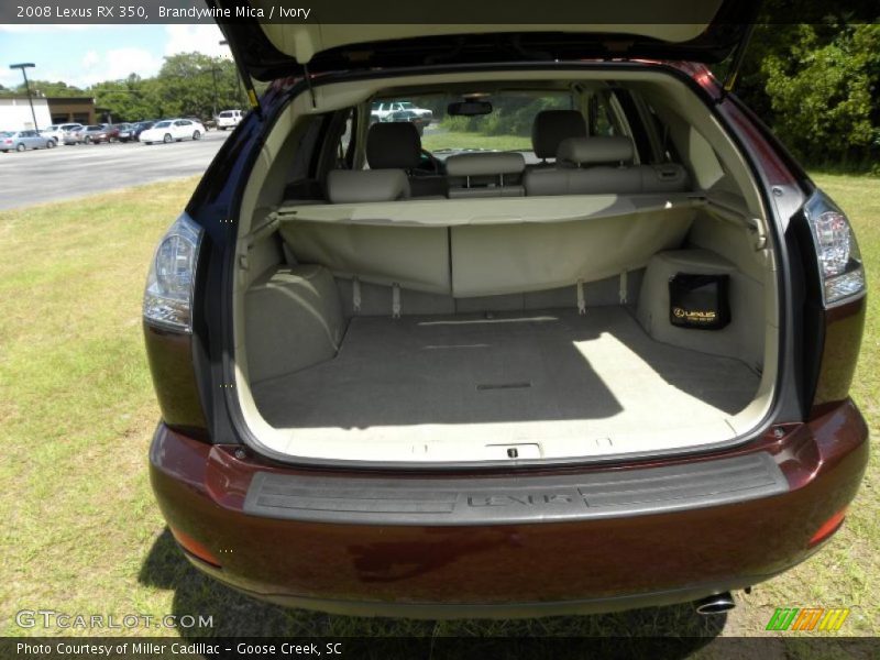 Brandywine Mica / Ivory 2008 Lexus RX 350