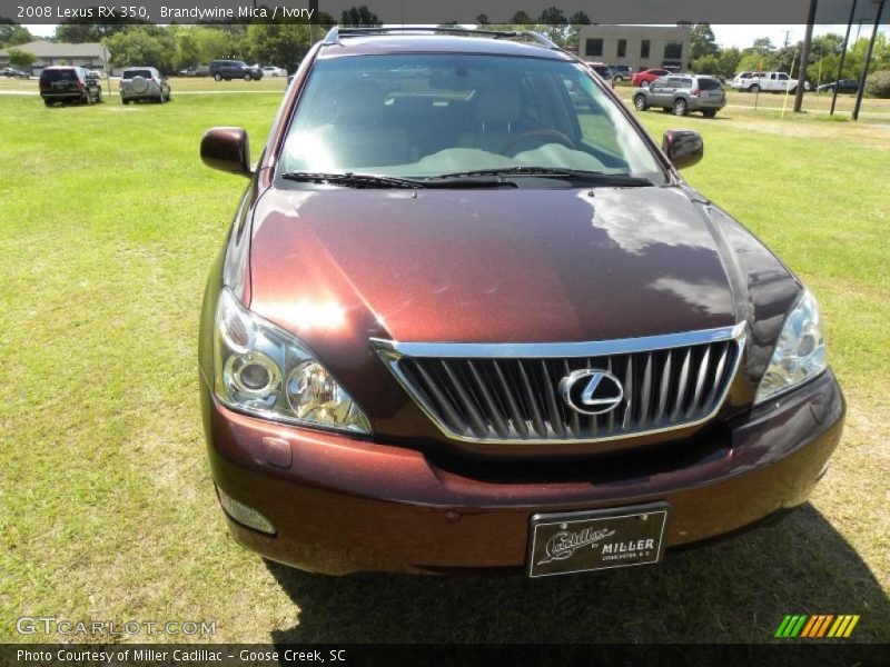 Brandywine Mica / Ivory 2008 Lexus RX 350
