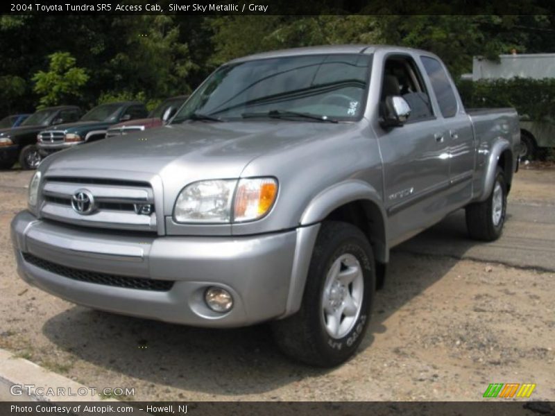 Silver Sky Metallic / Gray 2004 Toyota Tundra SR5 Access Cab