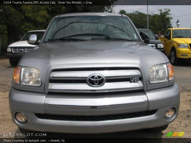 Silver Sky Metallic / Gray 2004 Toyota Tundra SR5 Access Cab