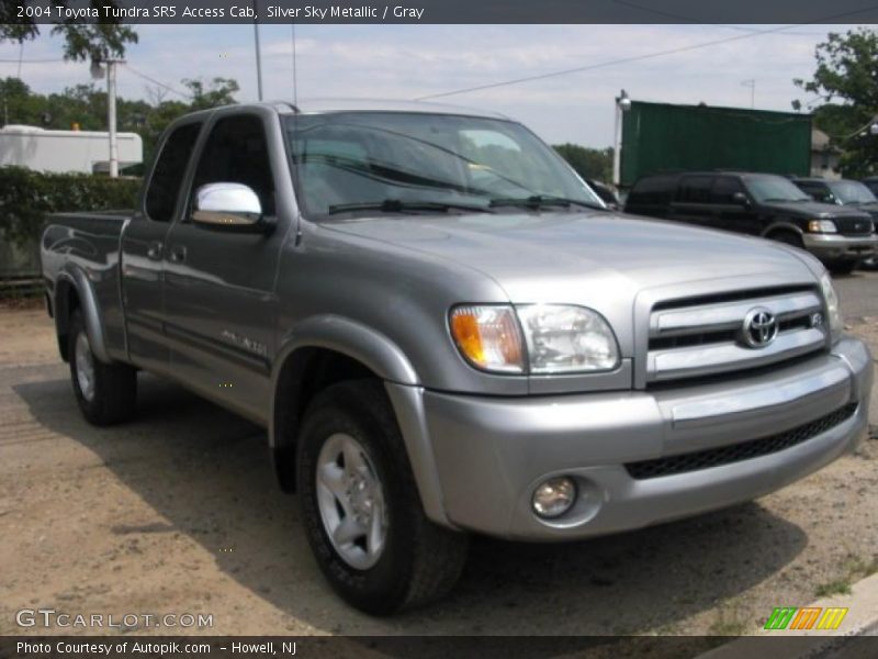 Silver Sky Metallic / Gray 2004 Toyota Tundra SR5 Access Cab