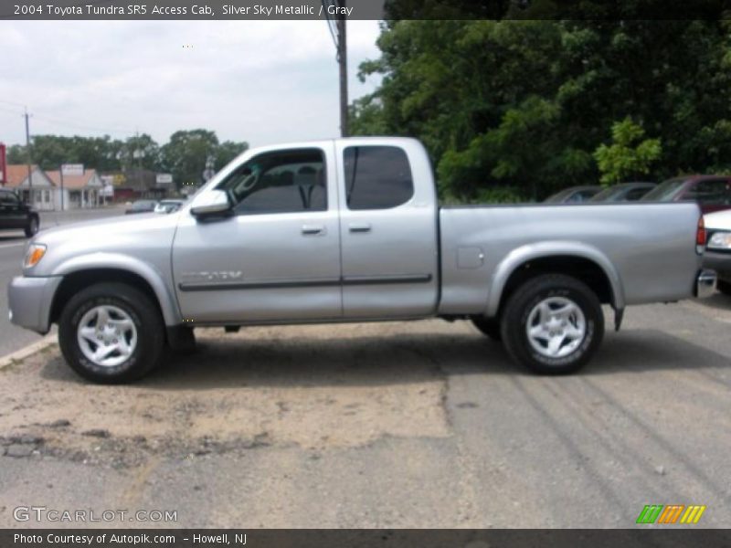 Silver Sky Metallic / Gray 2004 Toyota Tundra SR5 Access Cab
