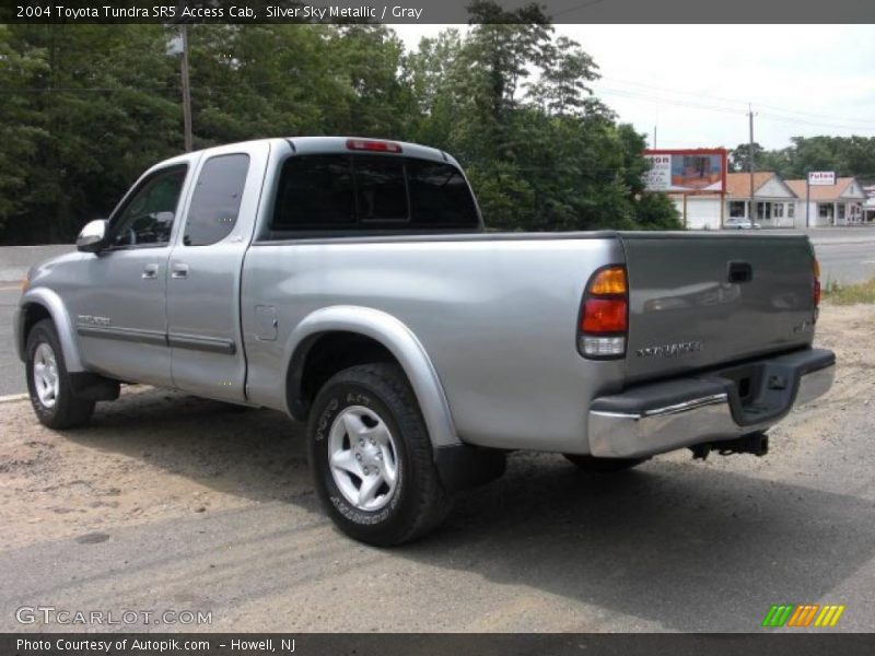 Silver Sky Metallic / Gray 2004 Toyota Tundra SR5 Access Cab