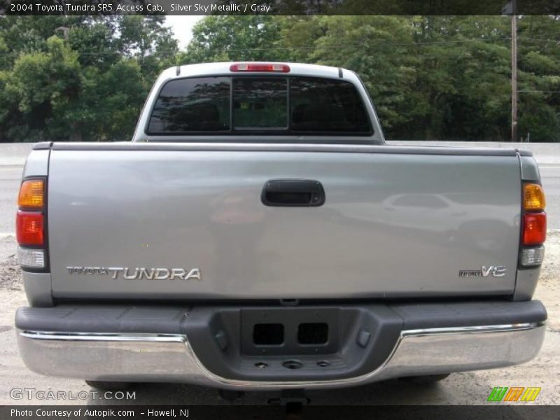 Silver Sky Metallic / Gray 2004 Toyota Tundra SR5 Access Cab