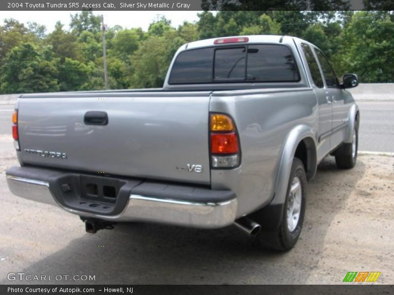 Silver Sky Metallic / Gray 2004 Toyota Tundra SR5 Access Cab