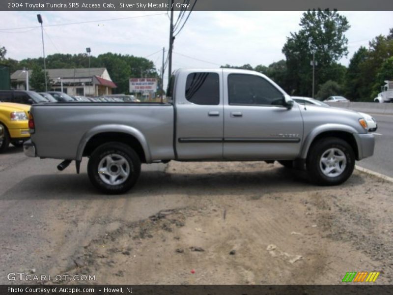 Silver Sky Metallic / Gray 2004 Toyota Tundra SR5 Access Cab