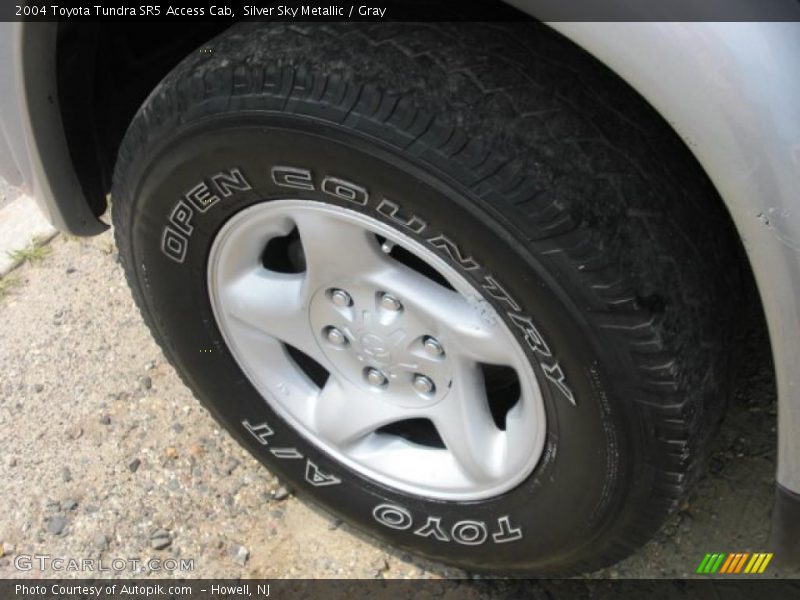 Silver Sky Metallic / Gray 2004 Toyota Tundra SR5 Access Cab