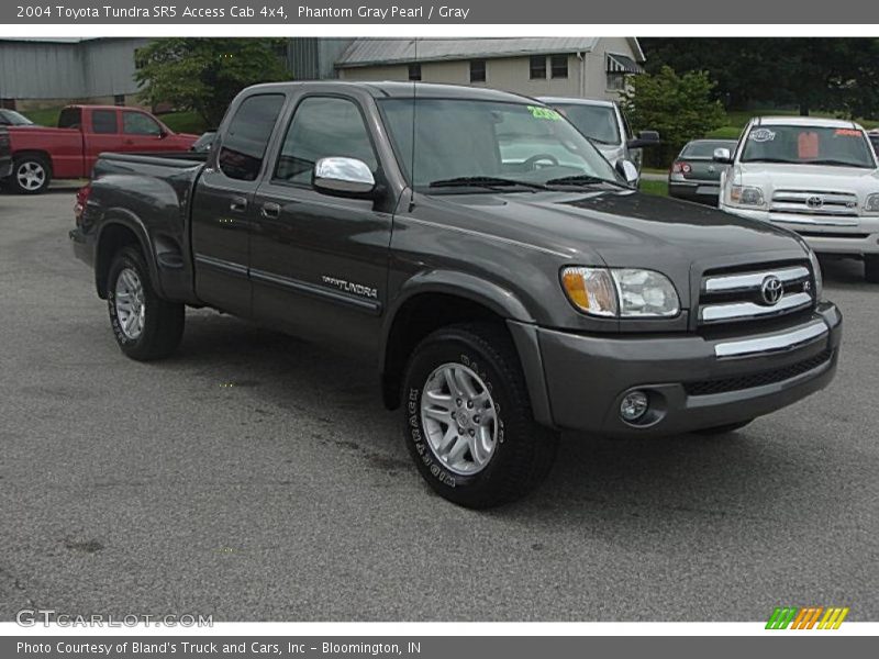 Phantom Gray Pearl / Gray 2004 Toyota Tundra SR5 Access Cab 4x4