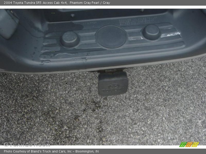 Phantom Gray Pearl / Gray 2004 Toyota Tundra SR5 Access Cab 4x4