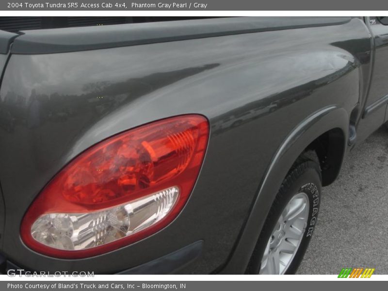 Phantom Gray Pearl / Gray 2004 Toyota Tundra SR5 Access Cab 4x4