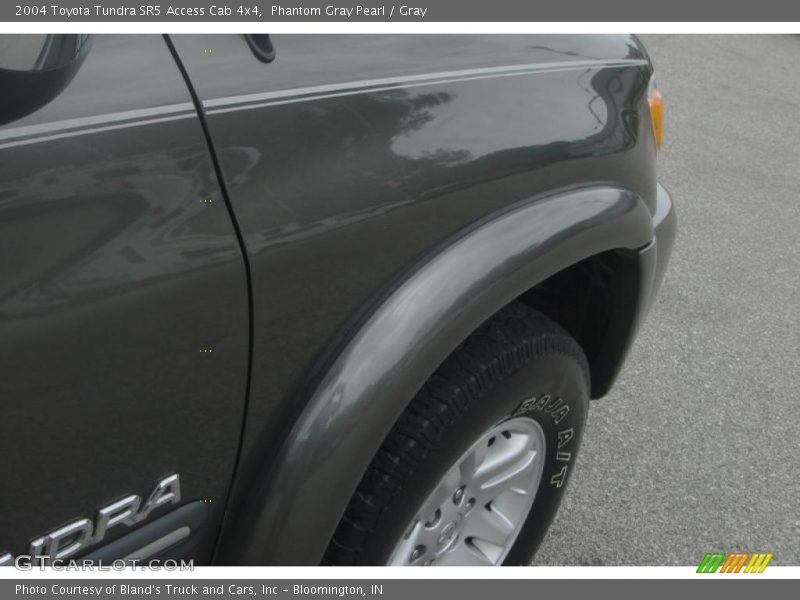 Phantom Gray Pearl / Gray 2004 Toyota Tundra SR5 Access Cab 4x4