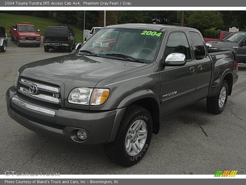 Phantom Gray Pearl / Gray 2004 Toyota Tundra SR5 Access Cab 4x4