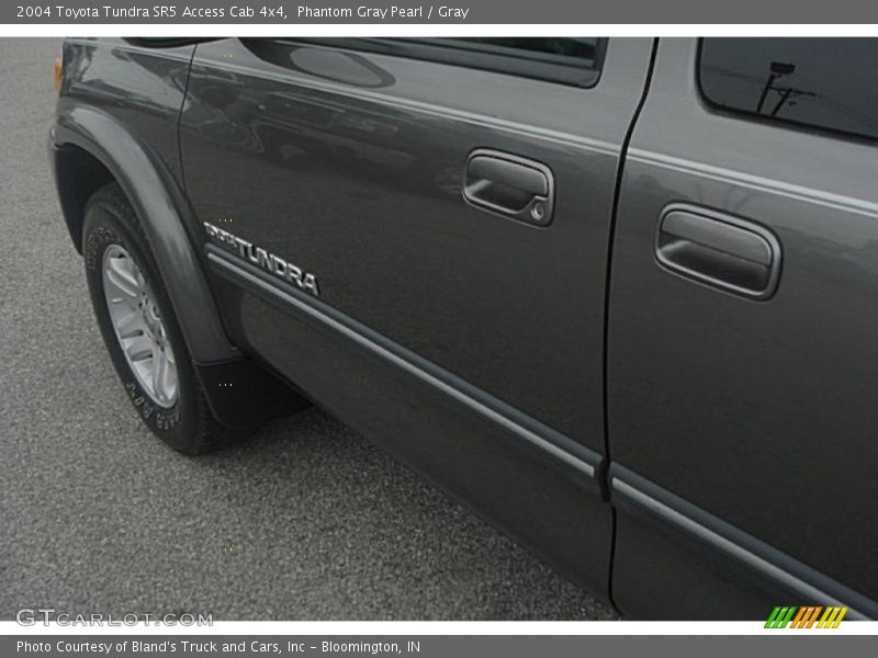 Phantom Gray Pearl / Gray 2004 Toyota Tundra SR5 Access Cab 4x4