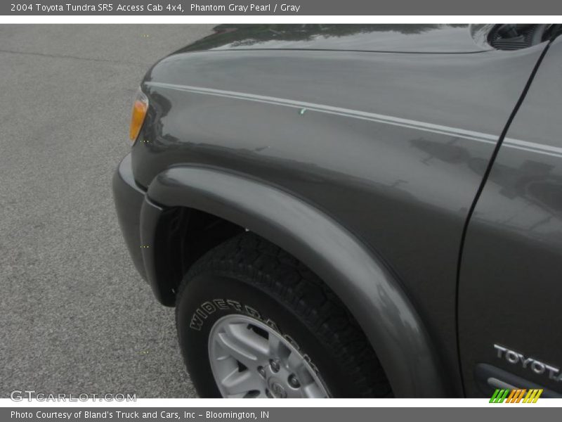Phantom Gray Pearl / Gray 2004 Toyota Tundra SR5 Access Cab 4x4