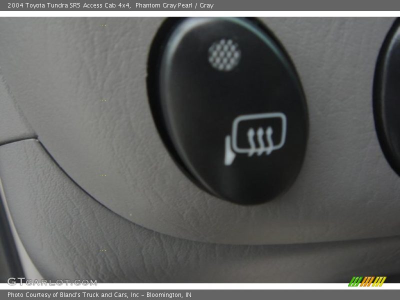 Phantom Gray Pearl / Gray 2004 Toyota Tundra SR5 Access Cab 4x4