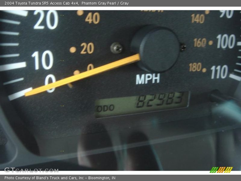 Phantom Gray Pearl / Gray 2004 Toyota Tundra SR5 Access Cab 4x4