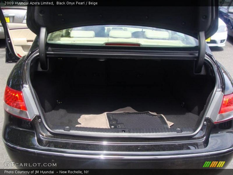 Black Onyx Pearl / Beige 2009 Hyundai Azera Limited
