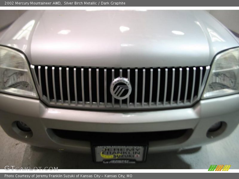 Silver Birch Metallic / Dark Graphite 2002 Mercury Mountaineer AWD