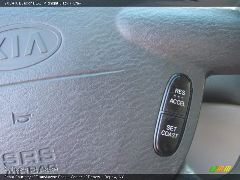 Midnight Black / Gray 2004 Kia Sedona LX