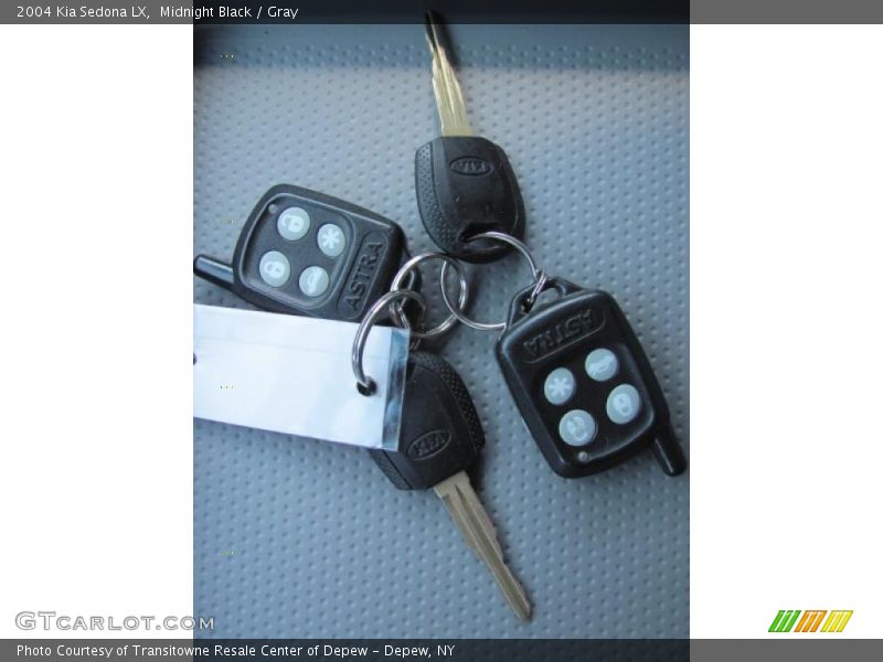 Midnight Black / Gray 2004 Kia Sedona LX
