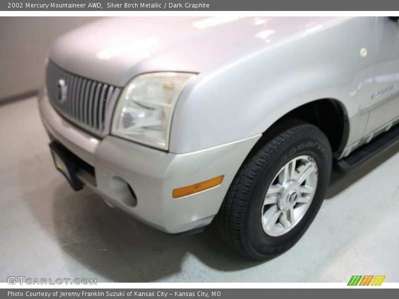 Silver Birch Metallic / Dark Graphite 2002 Mercury Mountaineer AWD