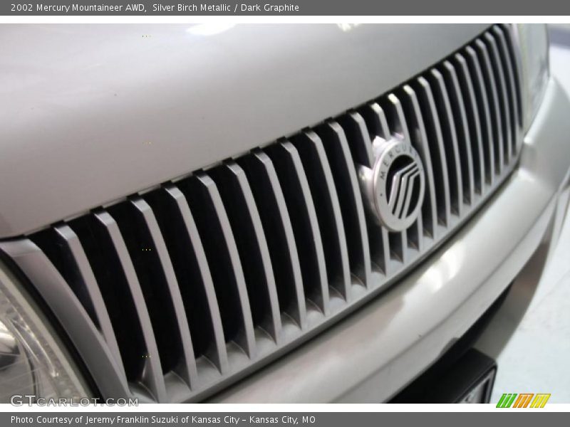 Silver Birch Metallic / Dark Graphite 2002 Mercury Mountaineer AWD