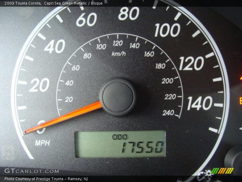 Capri Sea Green Metallic / Bisque 2009 Toyota Corolla